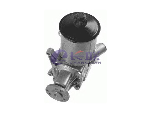 A460466010180 Power Steering Pump