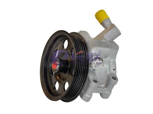 DSP151 Power Steering Pump