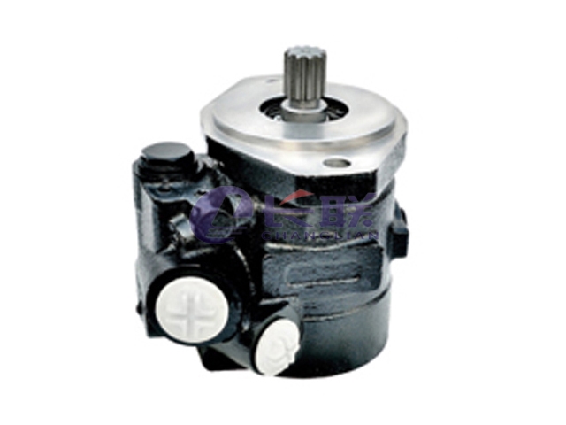 ZF7674955306 Power Steering Pump