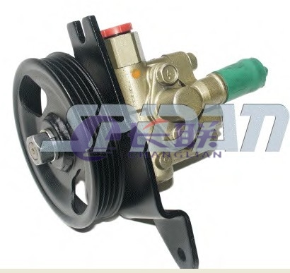 491101C700 Power Steering Pump