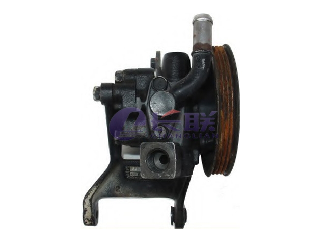 4911032R00 Power Steering Pump