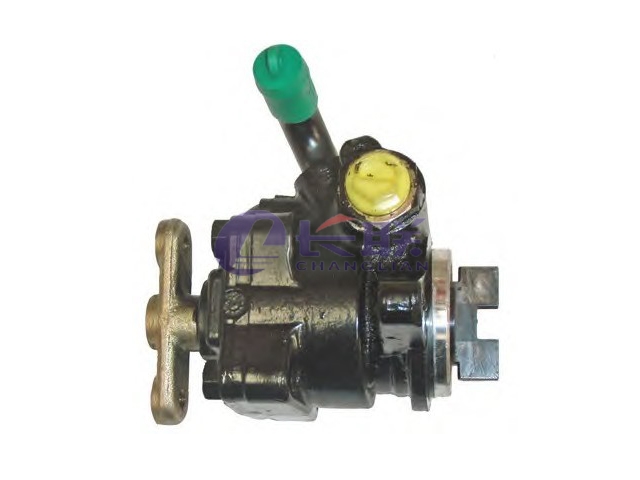 60596961 Power Steering Pump